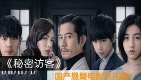 解说悬疑国产版视频,国产悬疑片的惊悚解密之旅