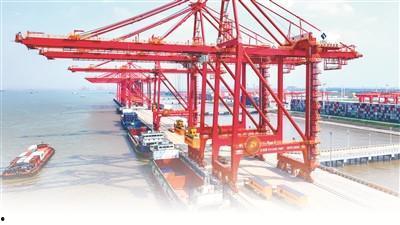 国产集装箱码头视频在线,智慧港口的现代化风采