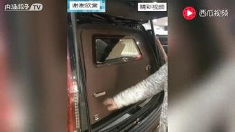 国产后门拉珠视频,视频揭示惊人内幕