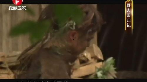 野人穿衣服视频大全国产