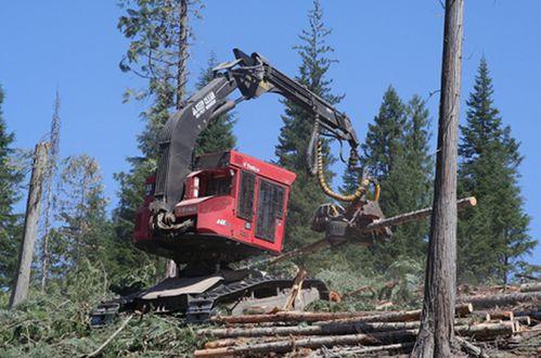 国产伐木机砍杉树视频,展现中国制造实力
