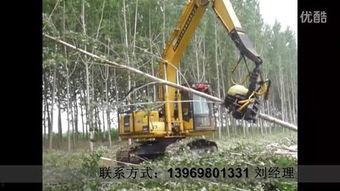 国产伐木机砍杉树视频,展现中国制造实力