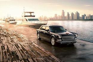 国产车救了老外视频播放,跨国救援瞬间见证民族荣耀