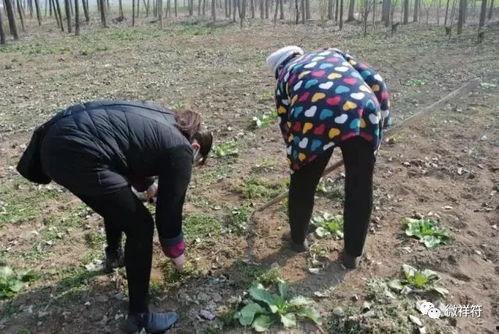 国产撅屁股在线视频观看,揭秘私密生活瞬间